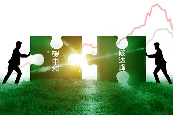 С˫̼ɫʵٻ϶ 